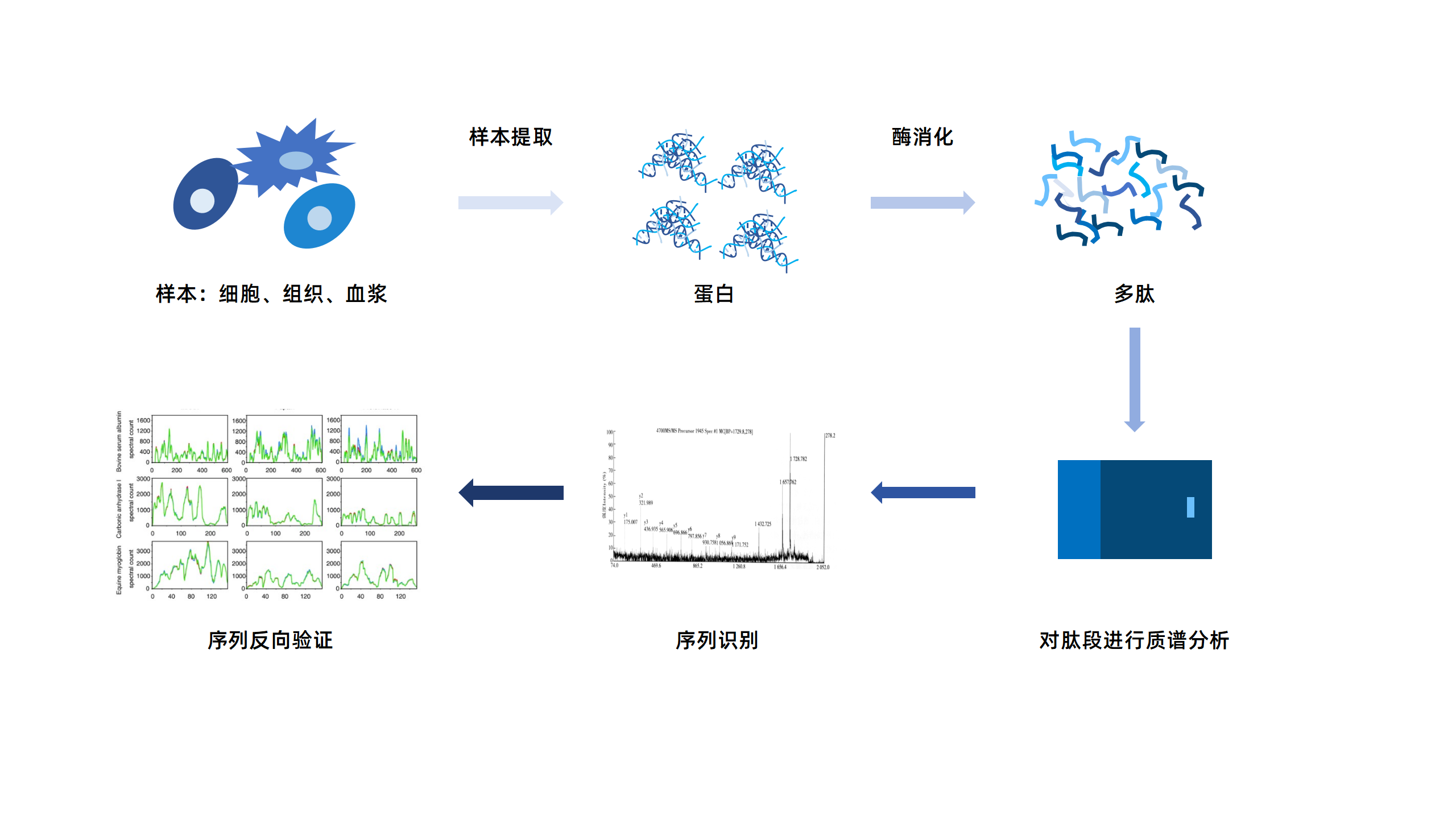 卡梅德新站图片-统一色系（中文）(1)_15.png