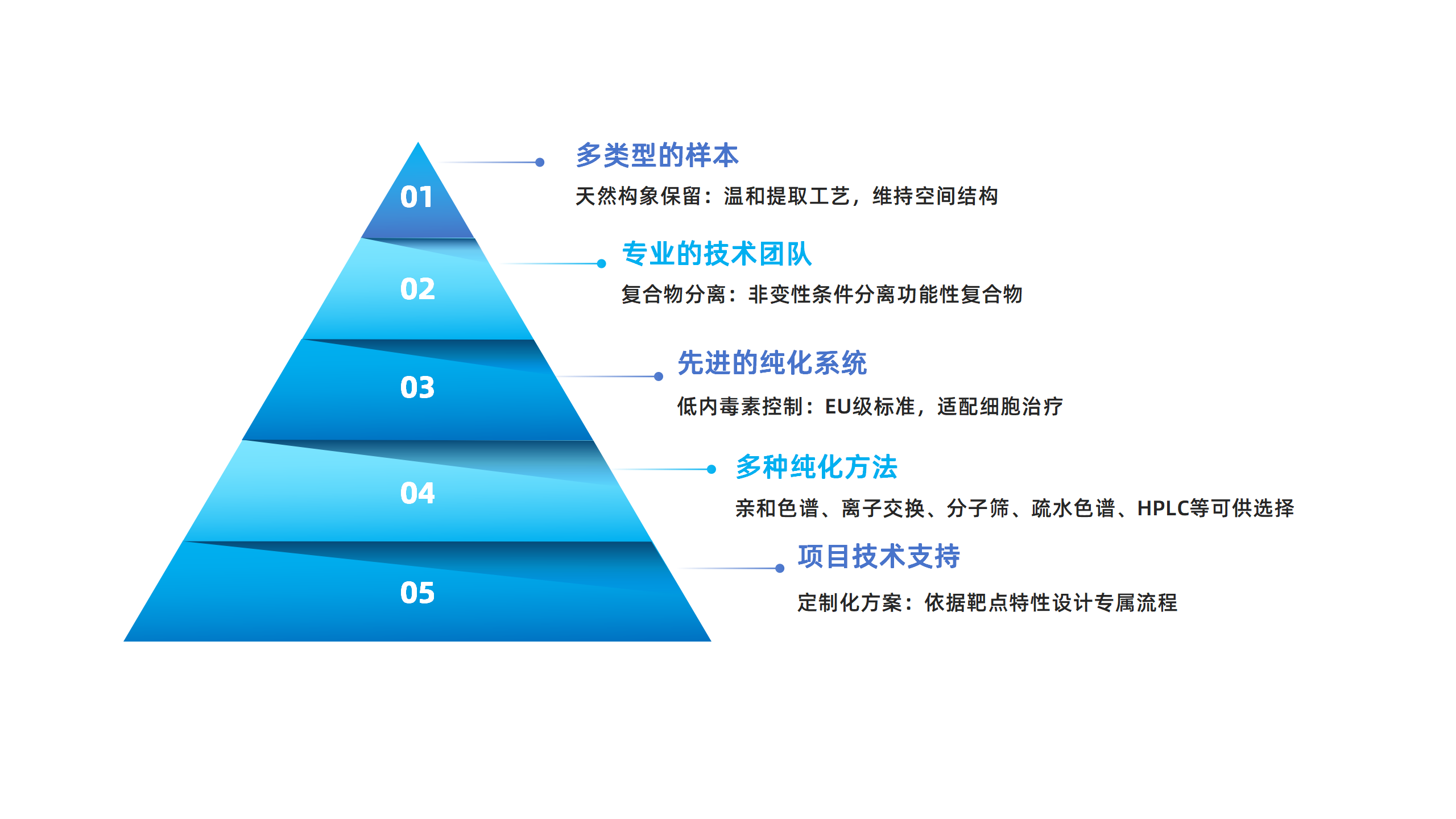 卡梅德新站图片-统一色系（中文）(1)_25.png
