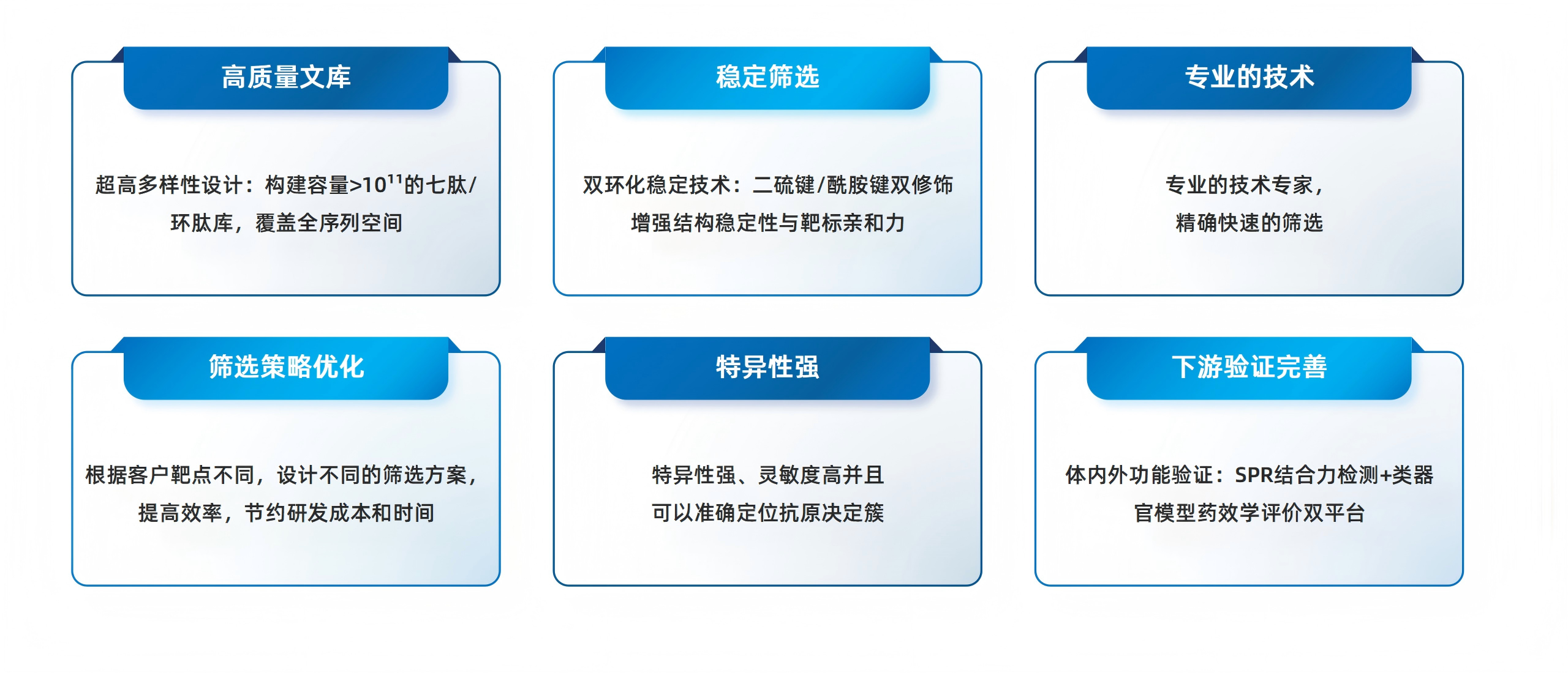 卡梅德新站图片-统一色系（中文）(1)_171(1).png