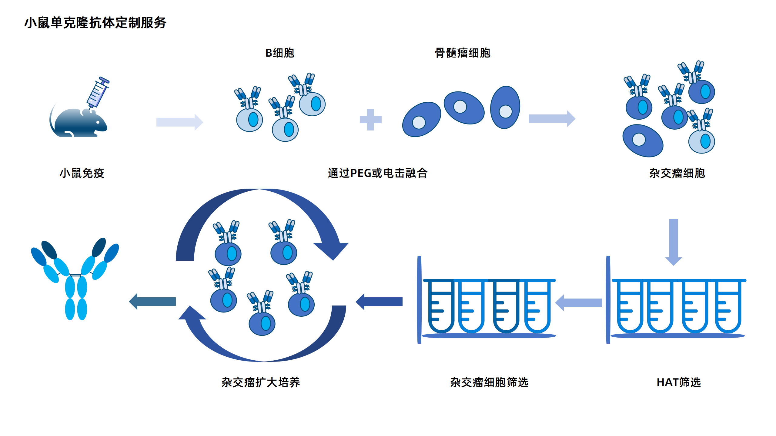 卡梅德新站图片-统一色系（中文）(1)_145.png