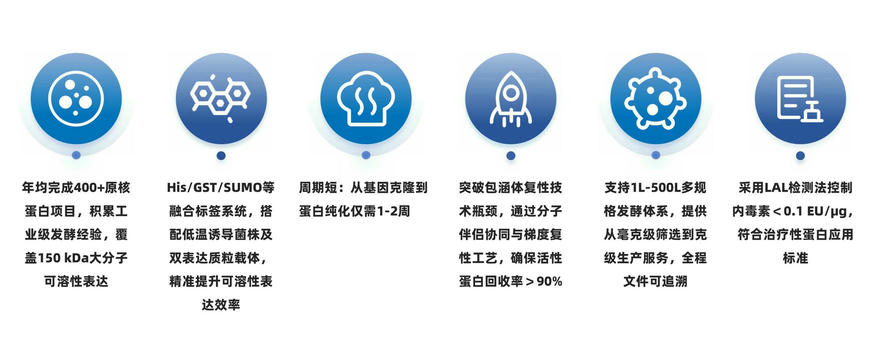 原核表达-卡梅德生物.jpg