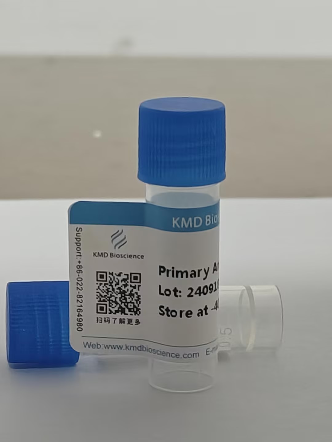 Armenian Hamster IgG1-Kappa Isotype Control Antibody