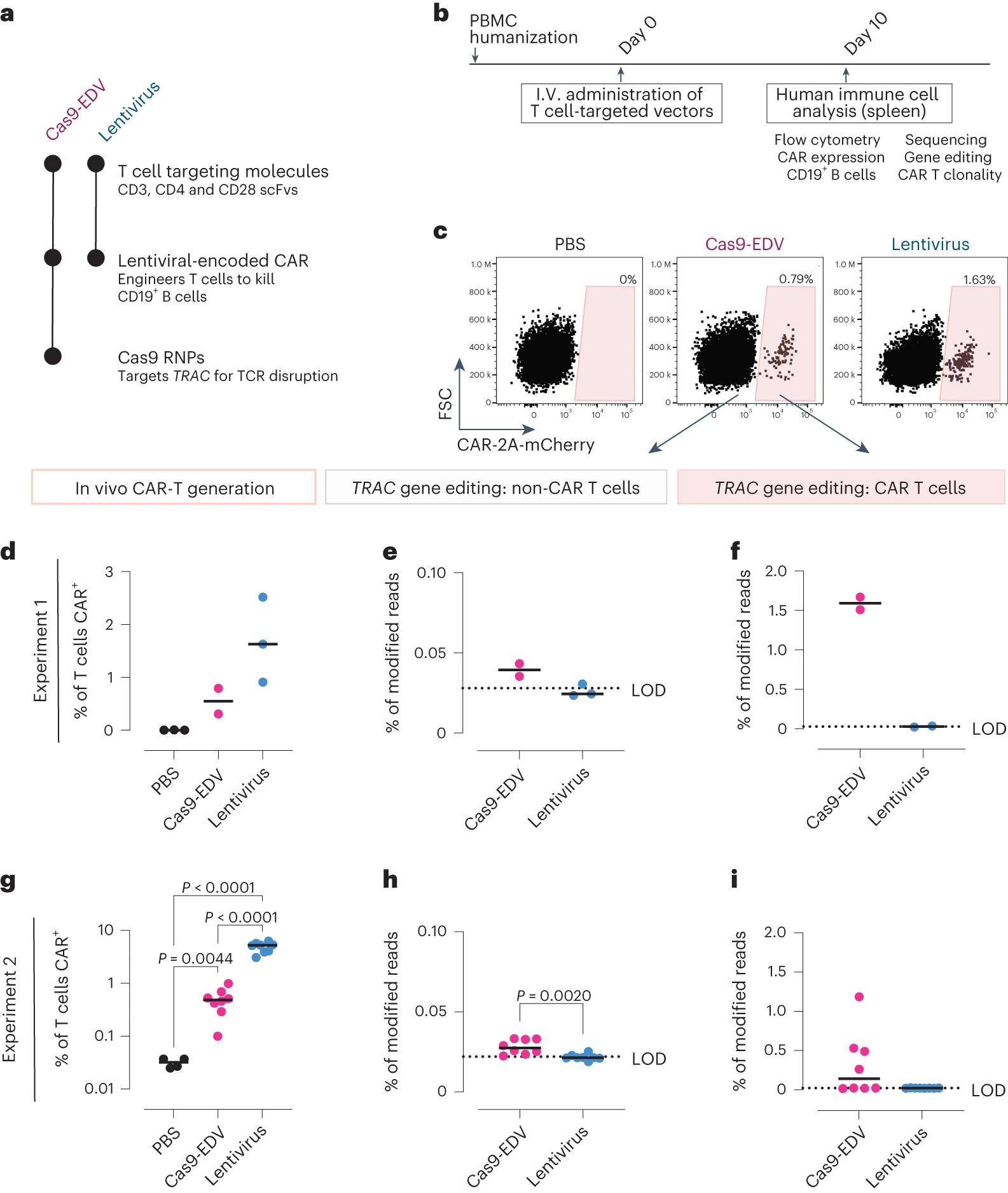 Cas9-EDV：实现精准体内细胞编辑的创新平台-卡梅德生物-04.png
