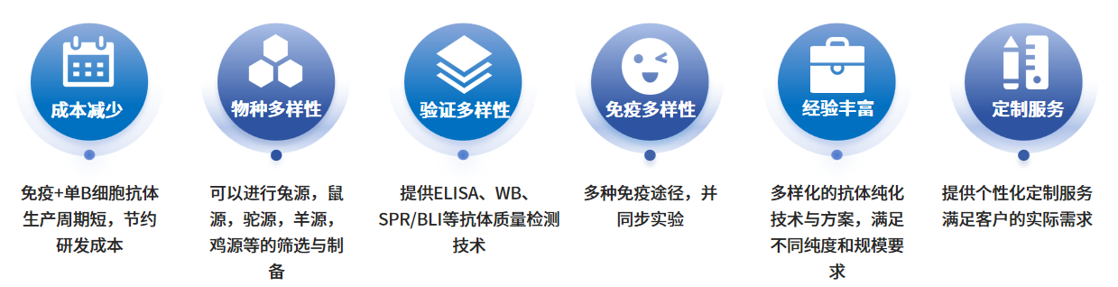 牛单B细胞单抗制备服务优势.png