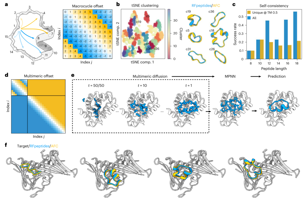 图1 RFpeptides技术框架图--卡梅德生物.png