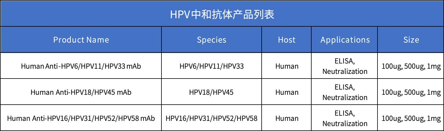 图4  HPV中和抗体产品列表.png