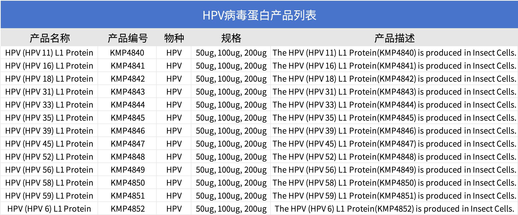 图5   HPV病毒蛋白产品列表.png