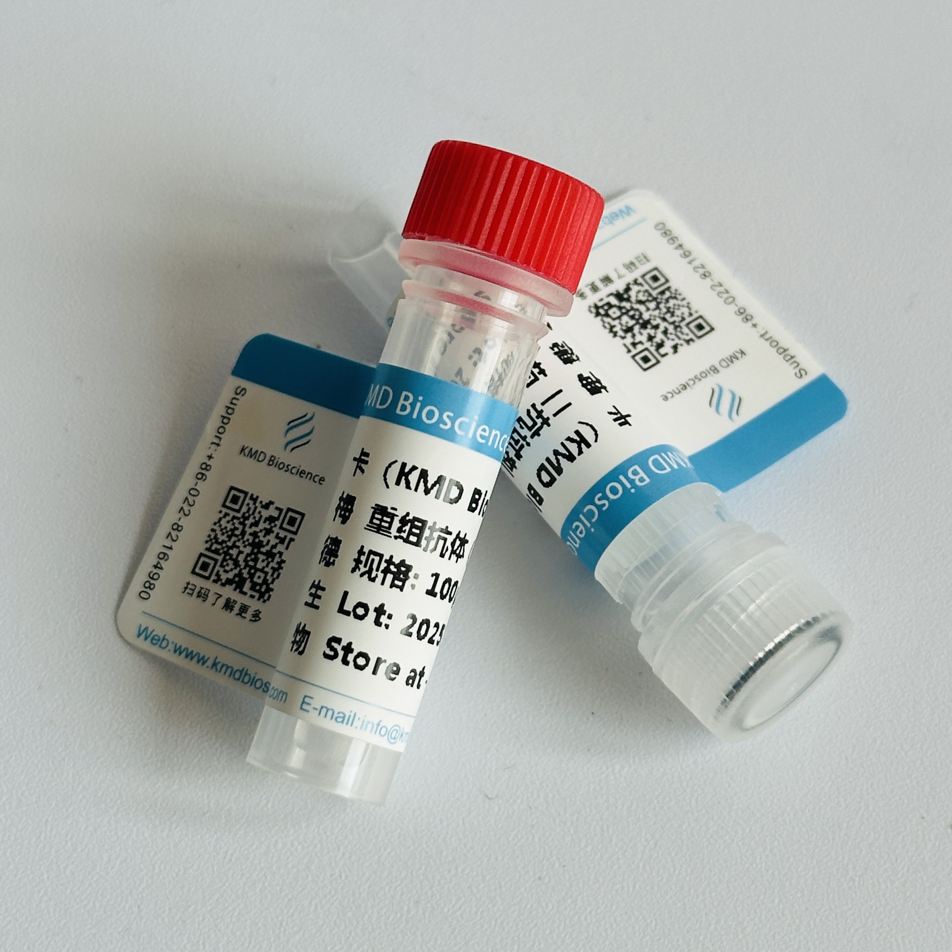 Anti-Human CD20 Recombinant Antibody(Nofetumomab)