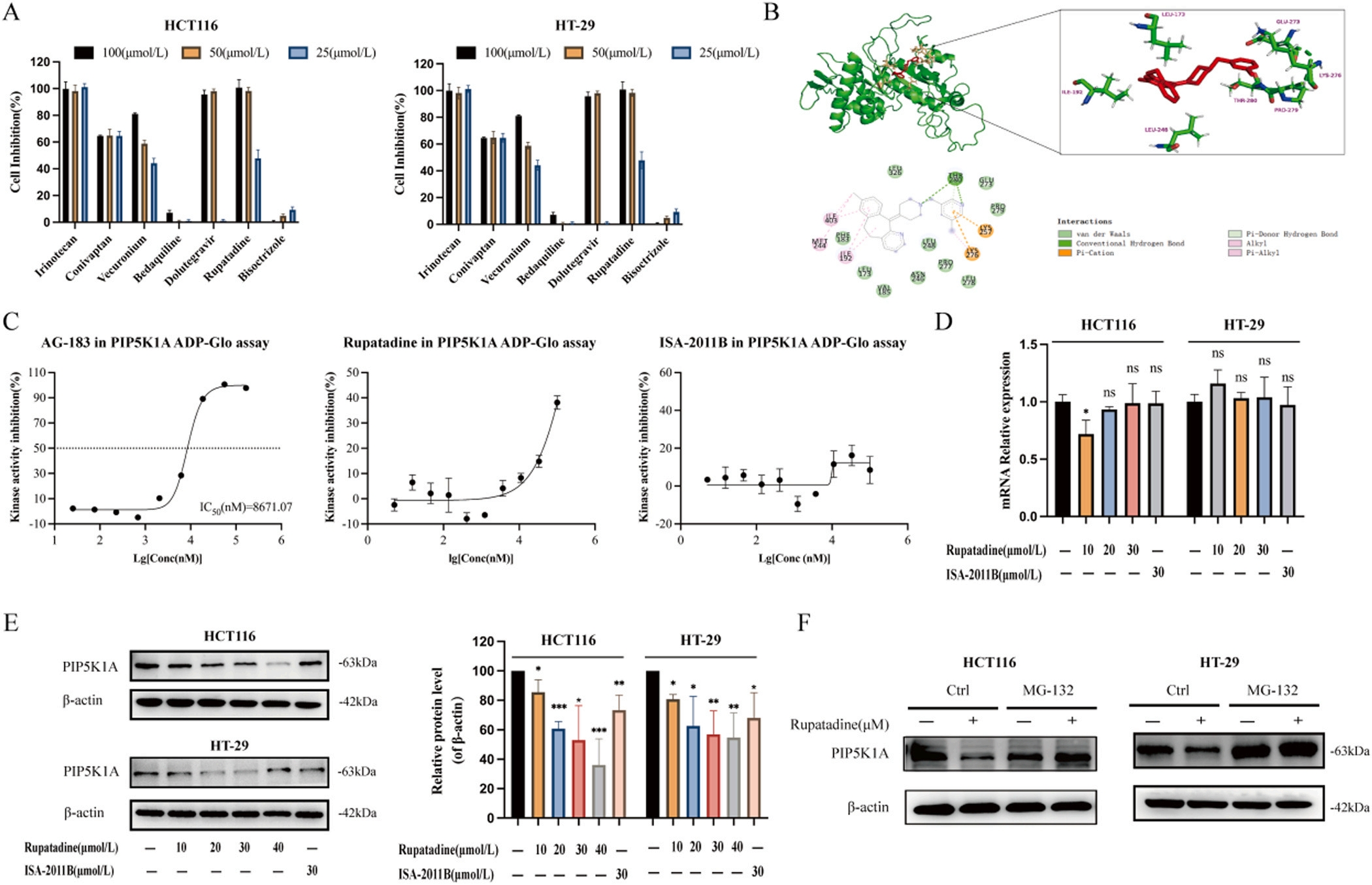 图2 PIP5K1A激酶抑制剂的筛选.png