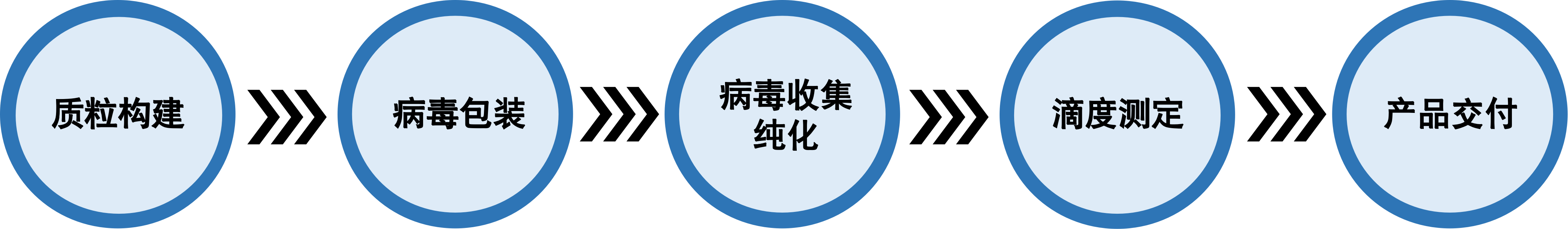 AAV腺相关病毒 & 腺病毒包装服务流程.png