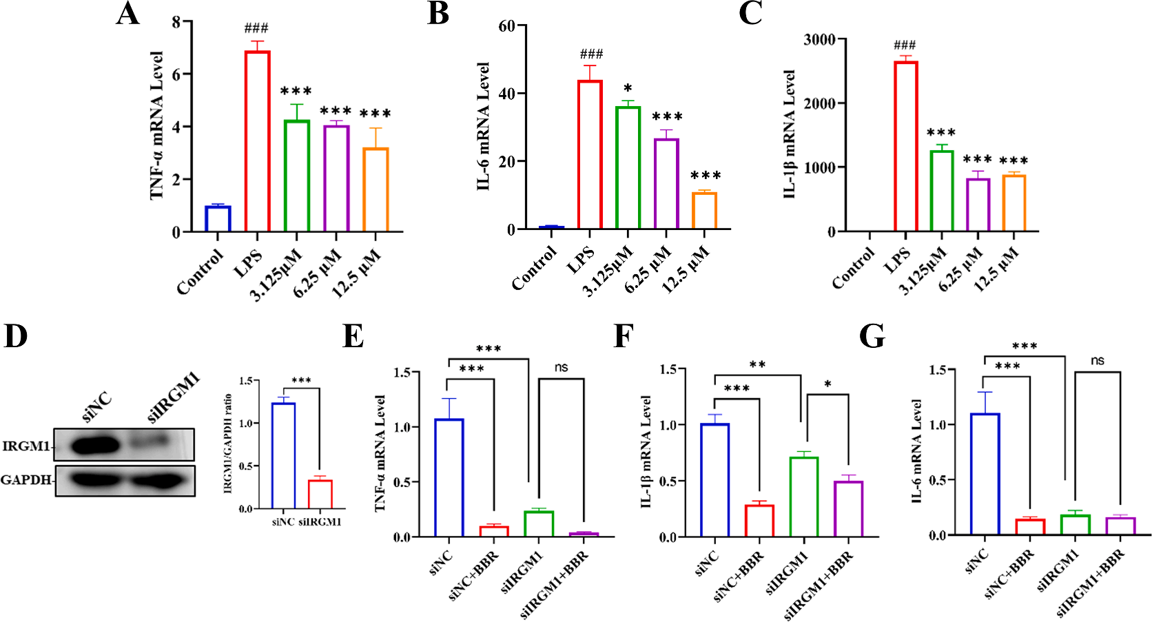 图8 BBR对炎症细胞因子表达的影响.png