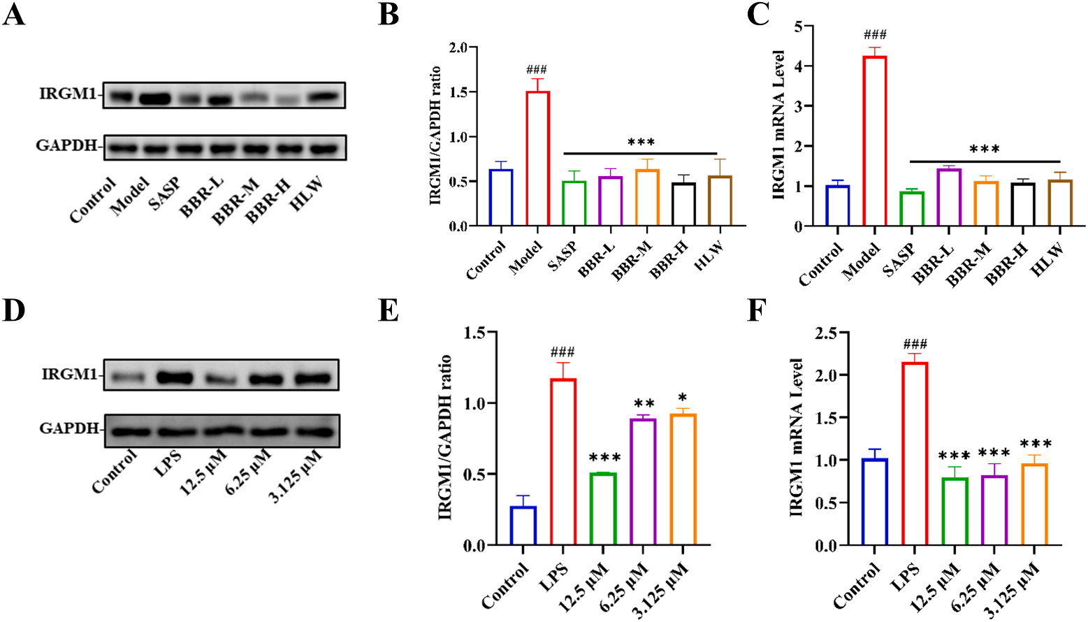 图7 BBR对不同模型中IRGM1表达的影响.png