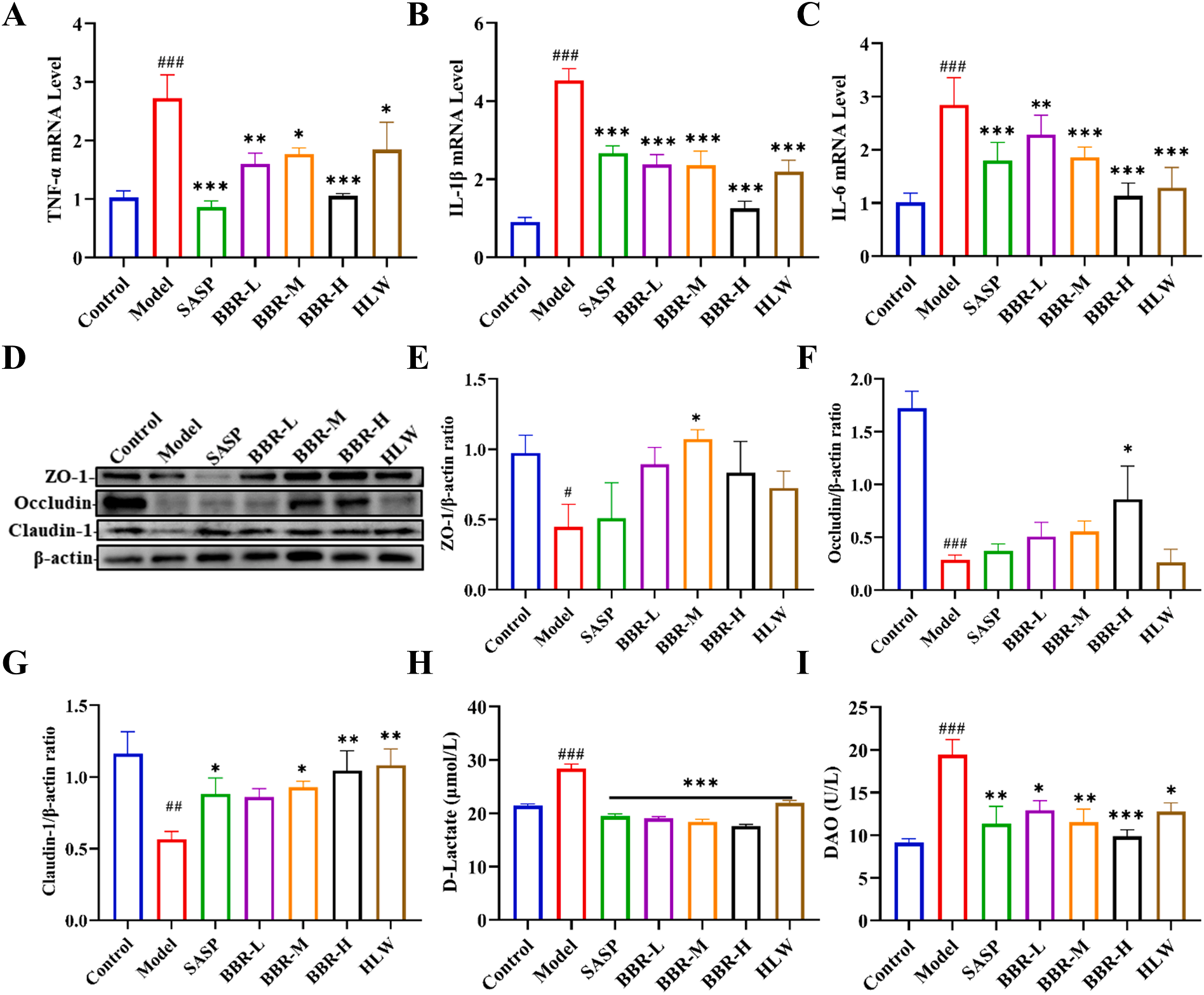 图3 黄连解毒汤和小檗碱对炎症细胞因子表达及肠通透性的影响.png