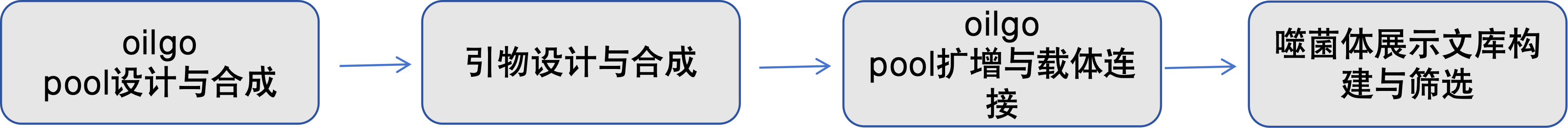 oligo pool服务流程.png