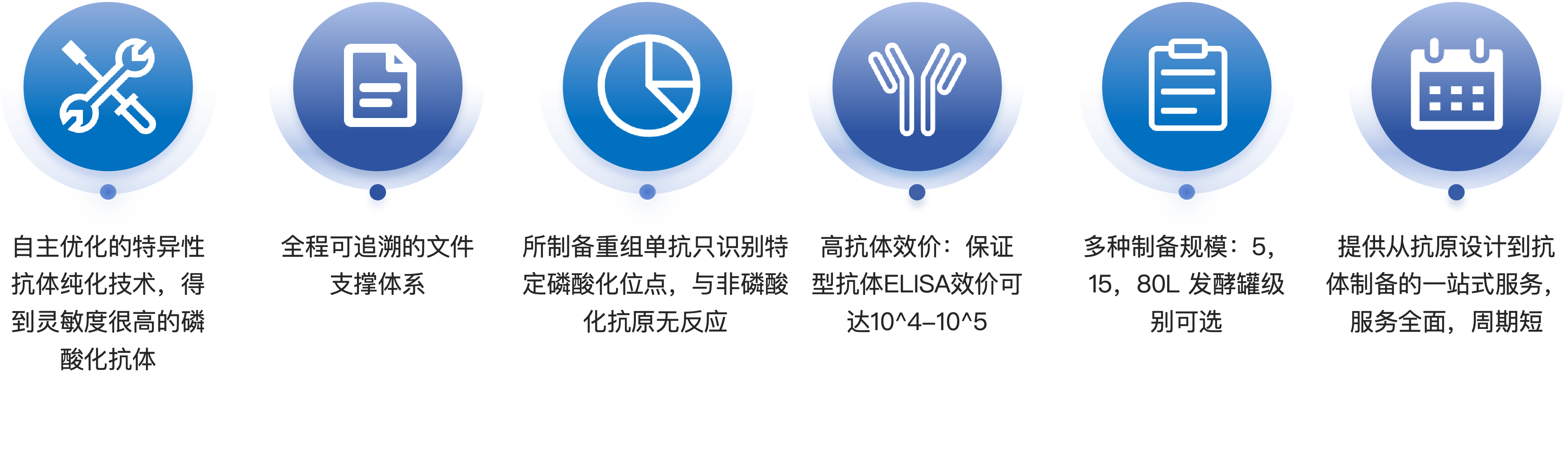 Advantages of Phosphorylated Antibody Preparation Services.png