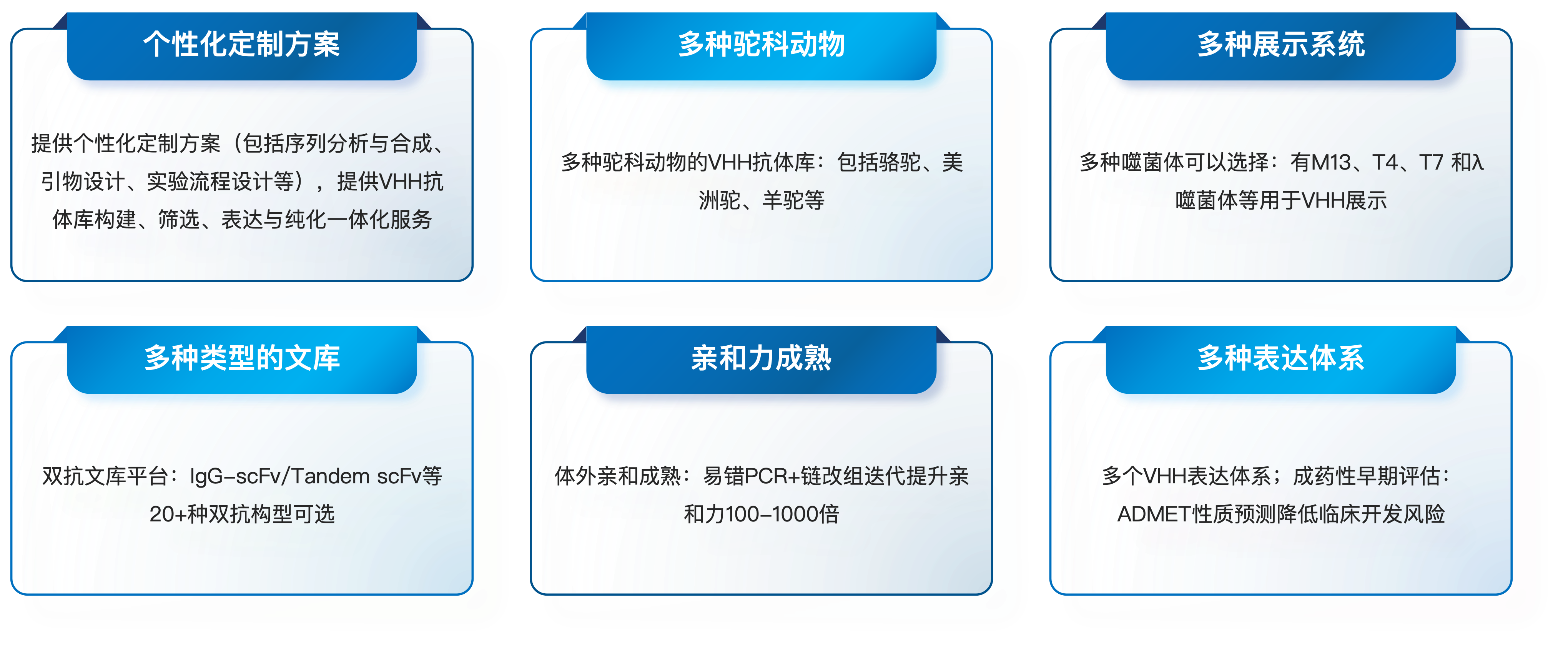 VHH抗体文库构建服务优势.png