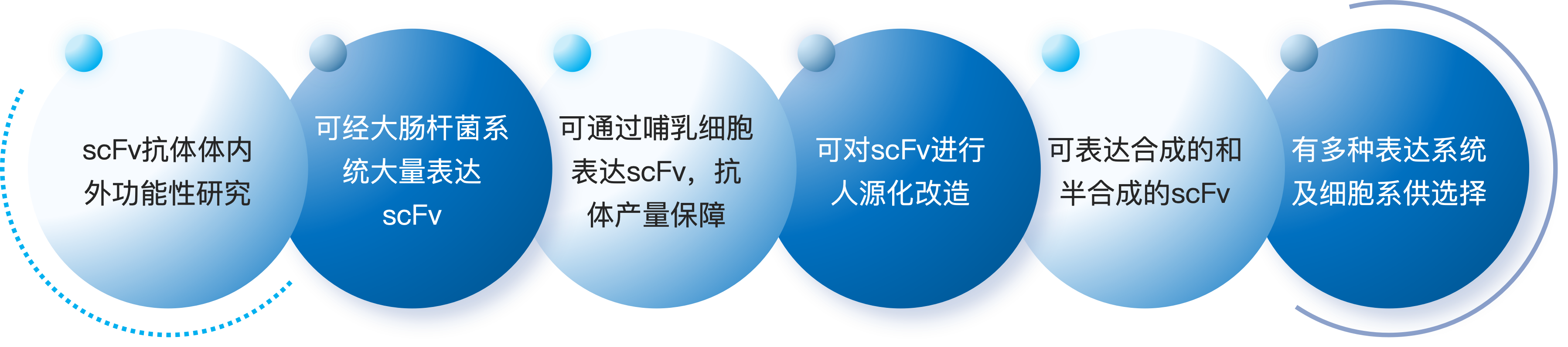 scFv抗体表达服务优势.png
