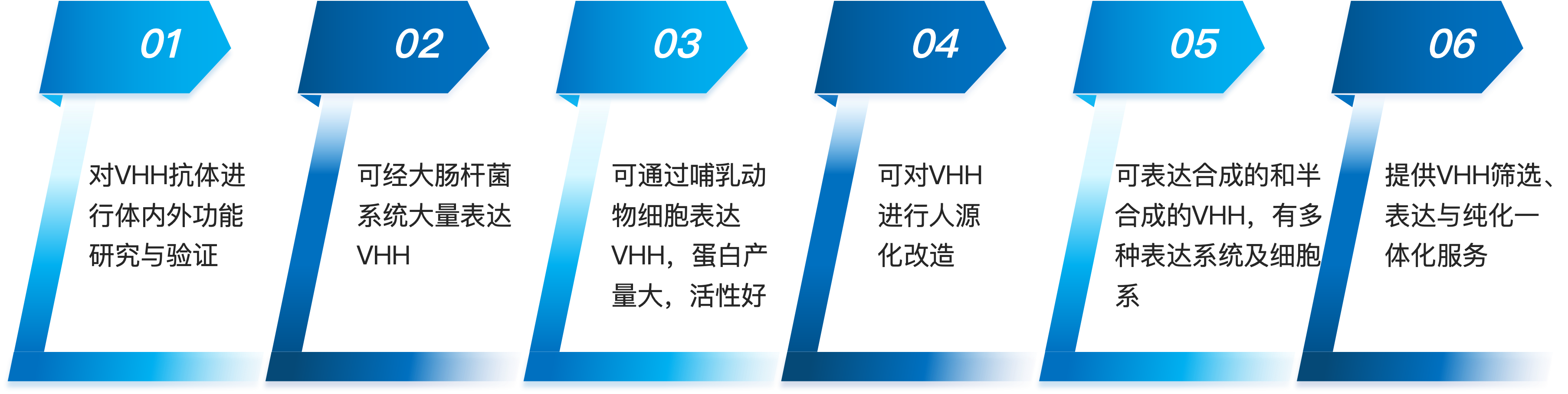 VHH抗体表达服务优势.png