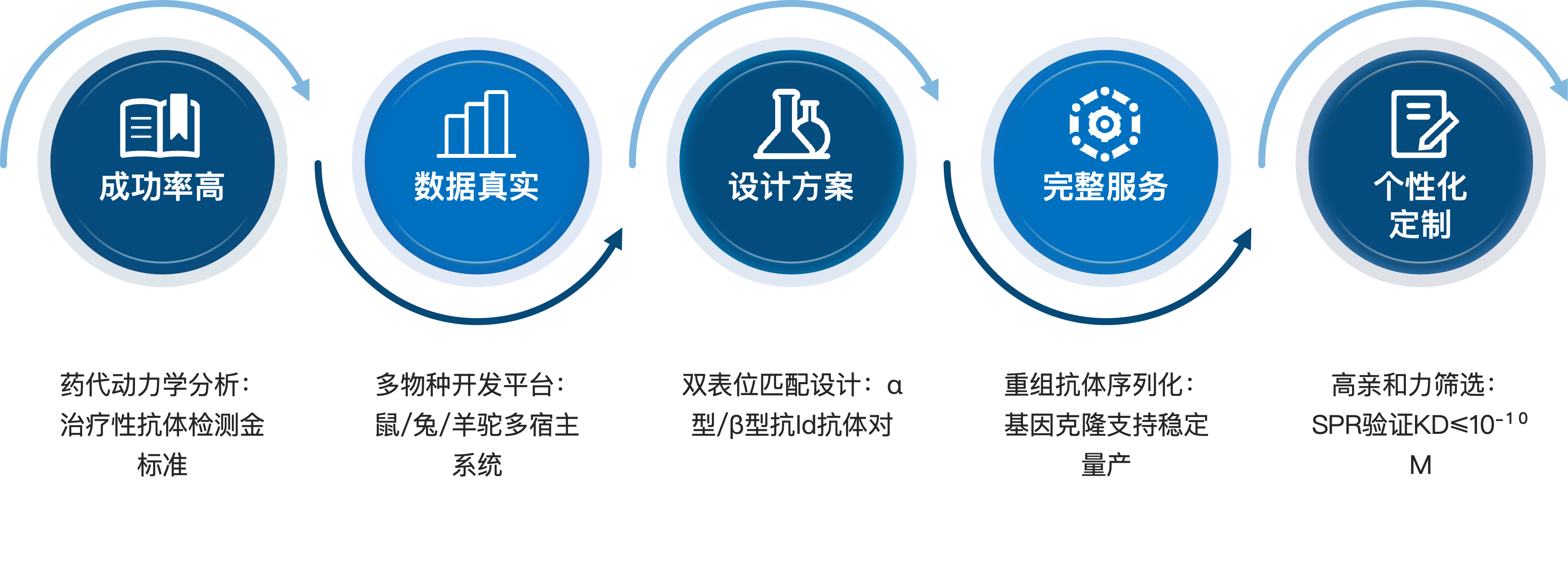 抗独特型抗体开发服务优势.png