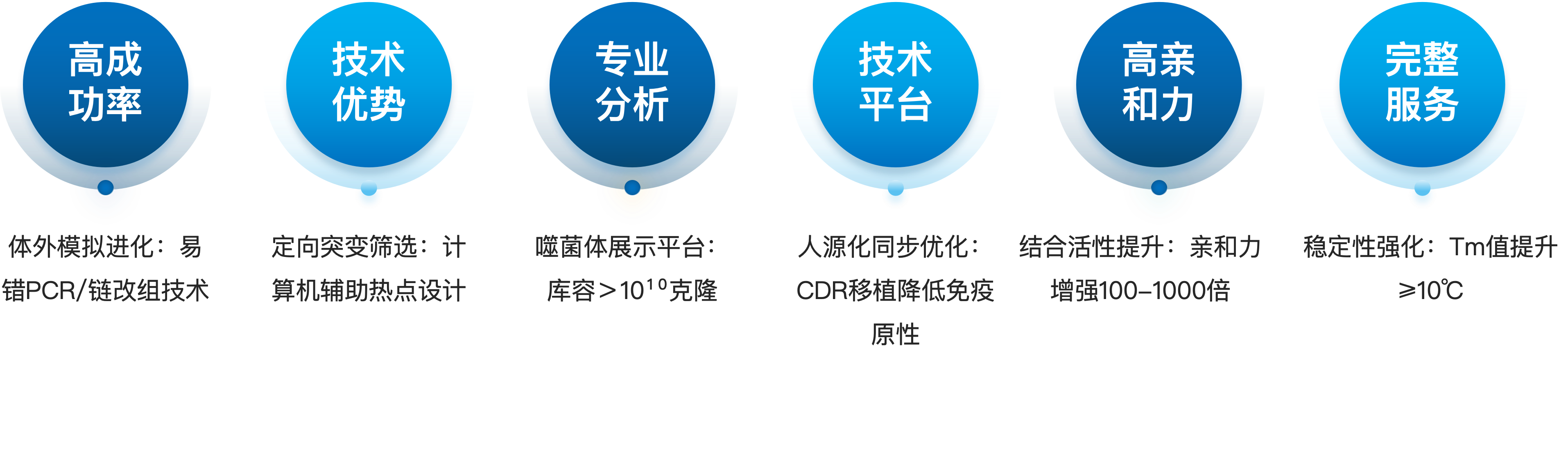 抗体亲和力成熟服务优势.png