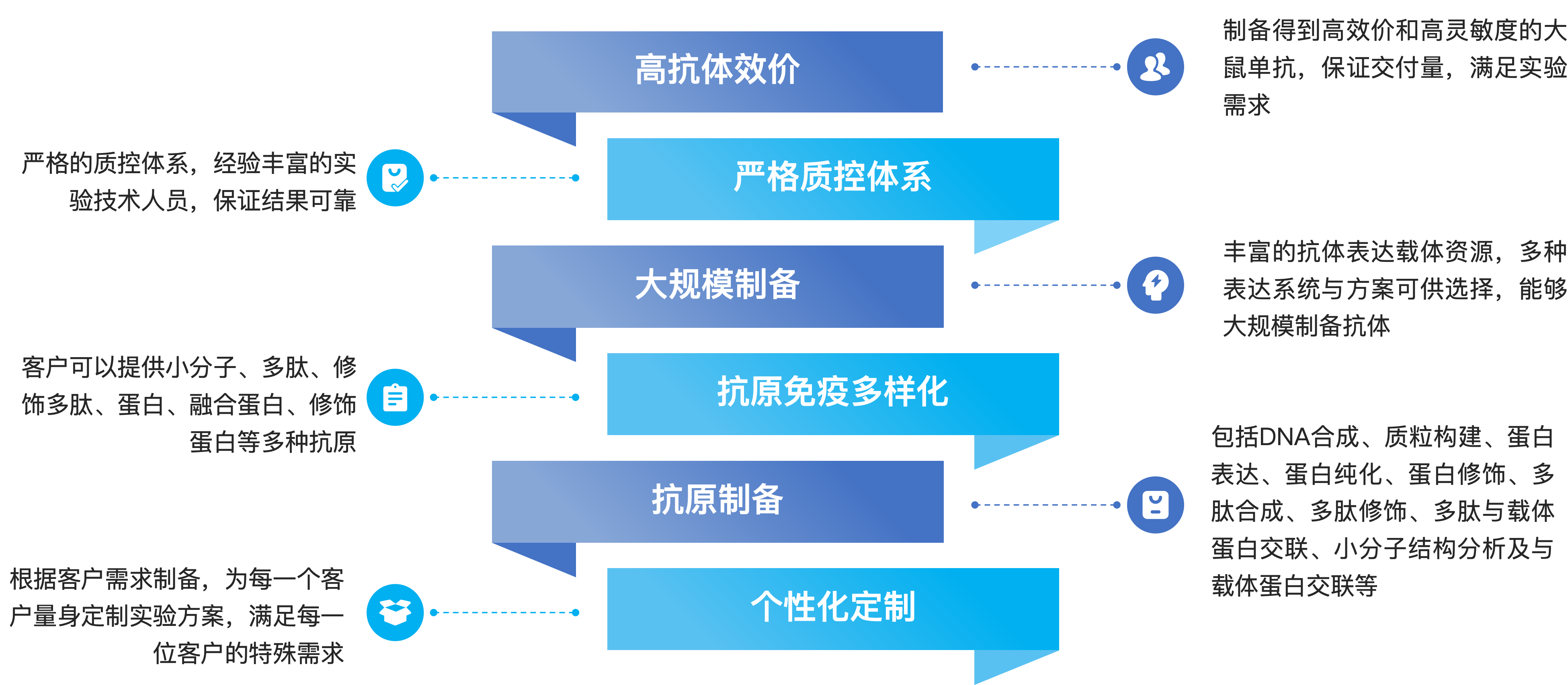 大鼠重组单克隆抗体制备服务优势.png
