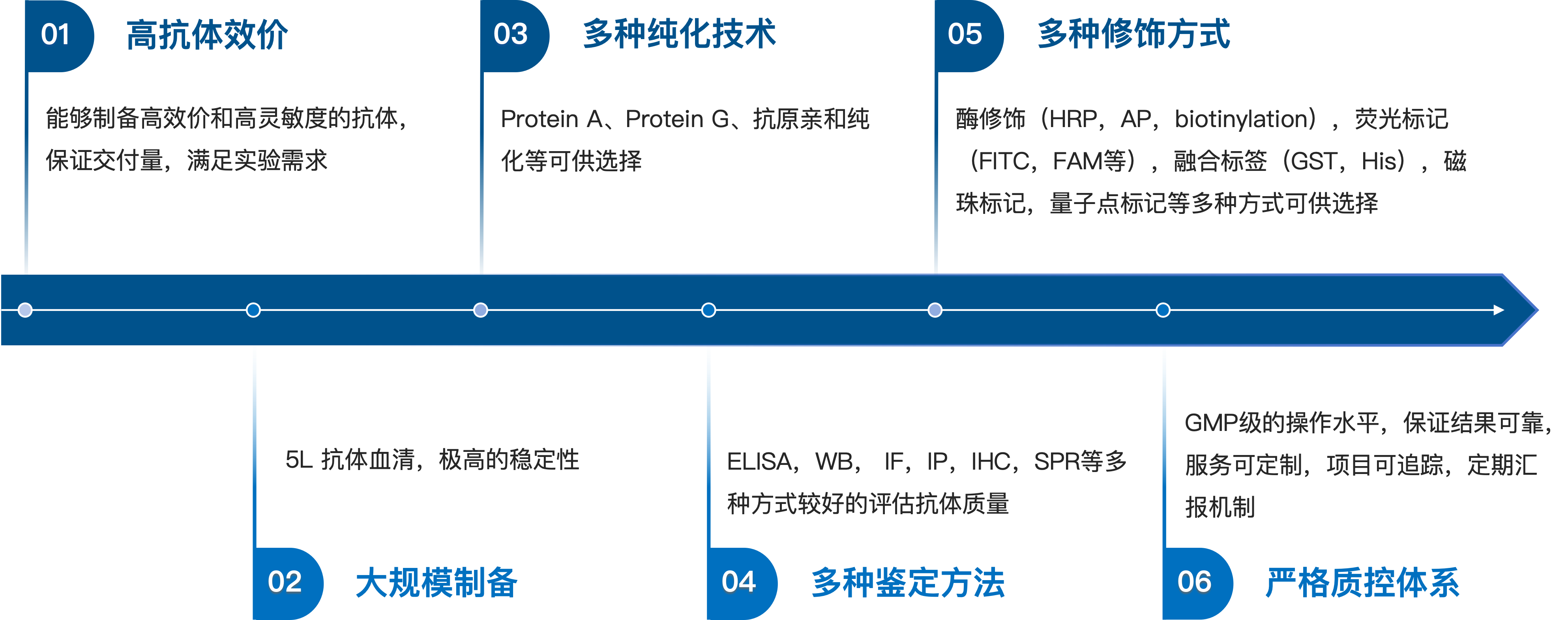 鼠类多克隆抗体制备服务优势.png