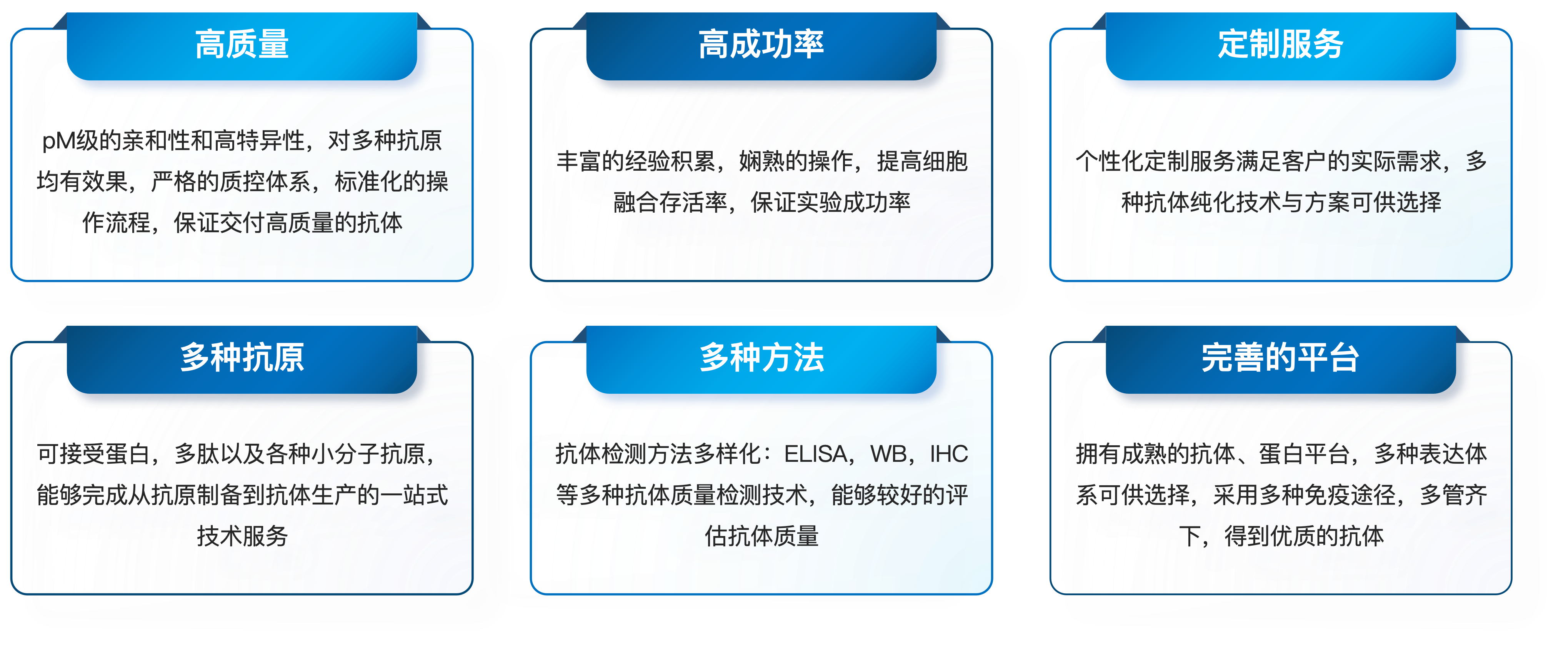 小鼠单克隆抗体定制服务优势.png