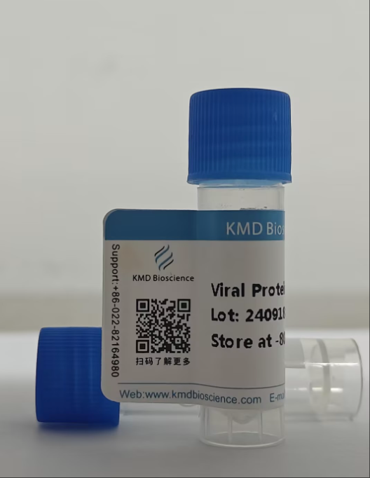 Recombinant SARS-CoV-2/COVID-19 RBD Protein (E484K)，His Tag