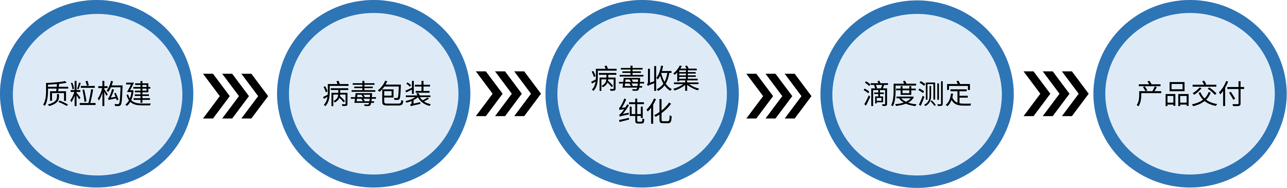 AAV腺相关病毒 & 腺病毒包装服务-PPT.png