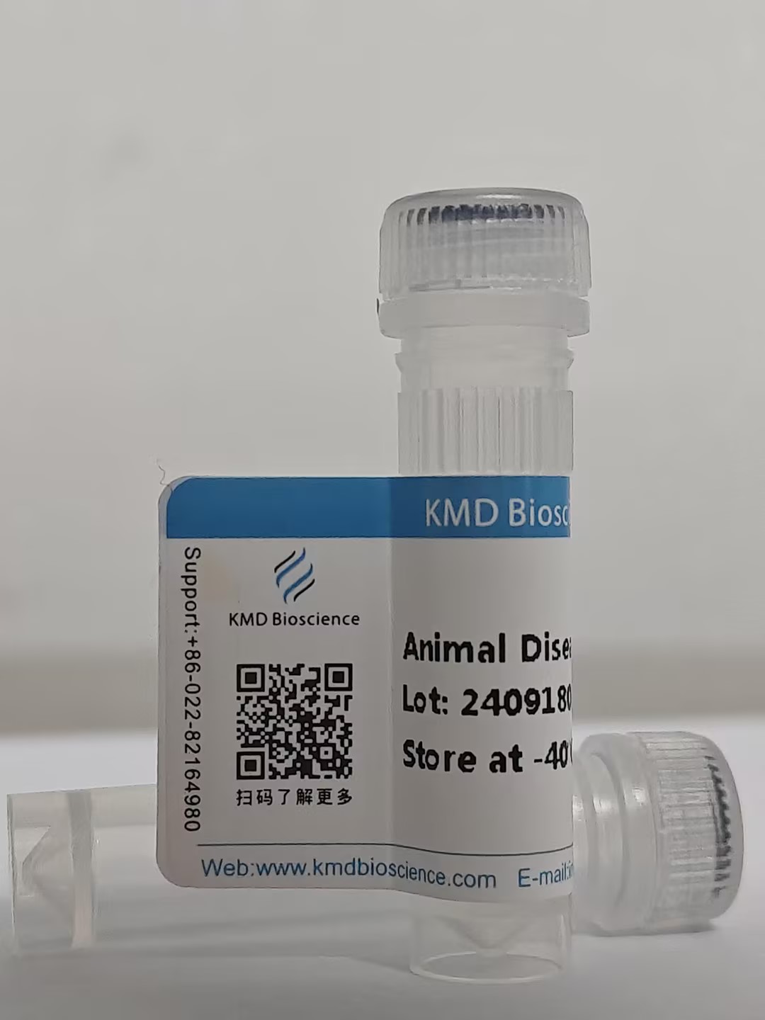 猫杯状病毒单克隆抗体(检测)_天津卡梅德科技发展有限公司