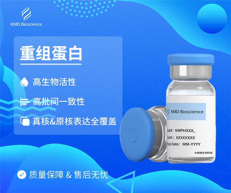 Recombinant Human RSPO2 Protein, C-His Tag